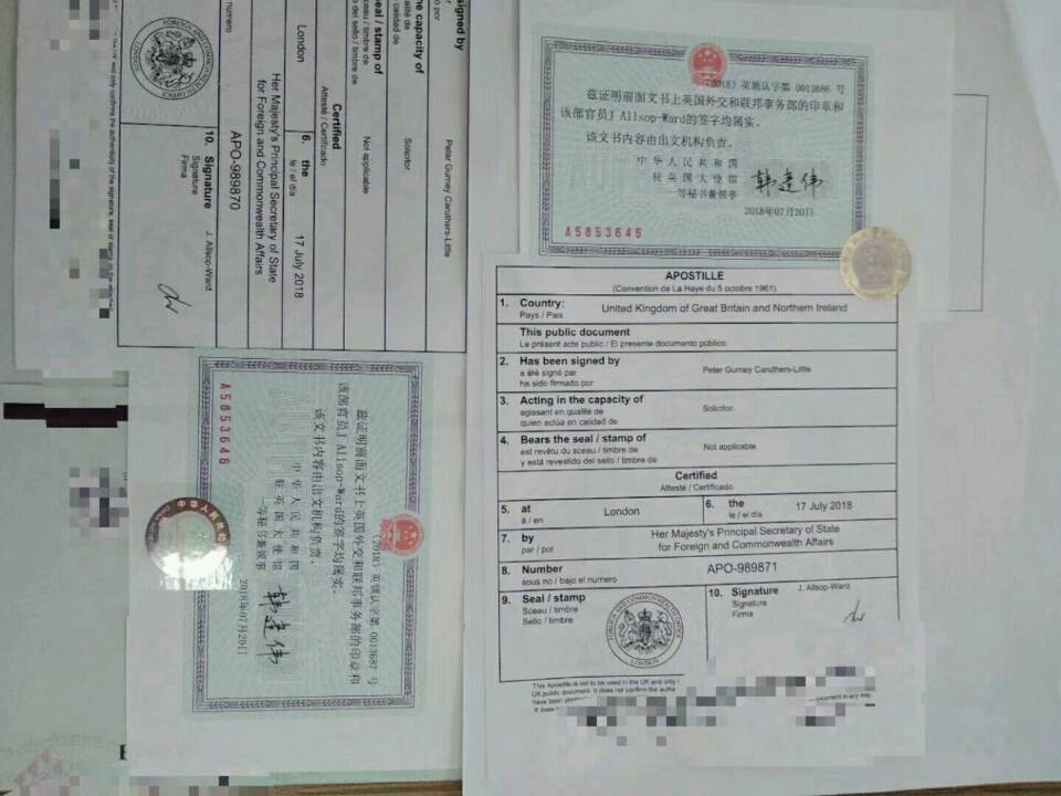 2019½ӢάȺBVI˾֤·