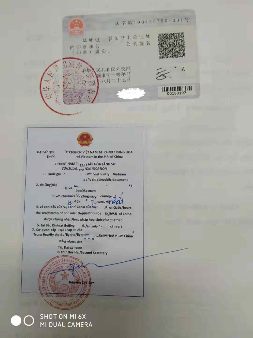 无犯罪证明双认证 无犯罪证明双认证