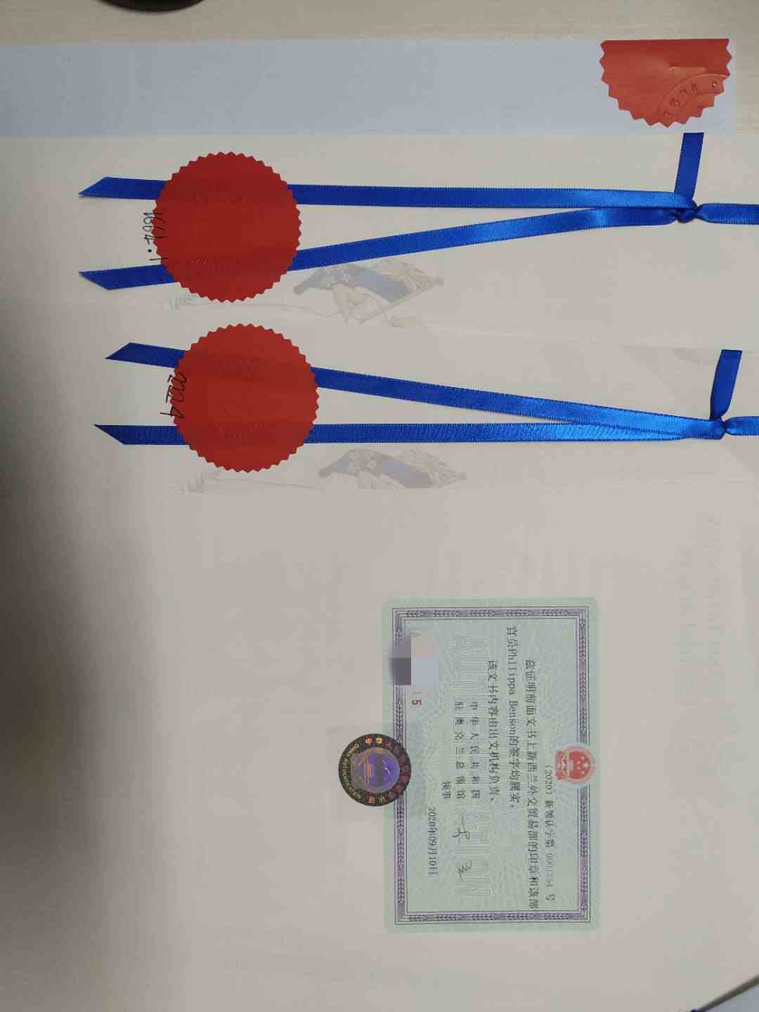 新西兰无犯罪公证认证