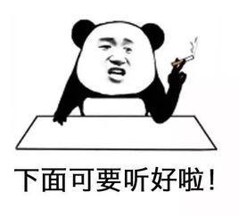 ޷﹫֤֤