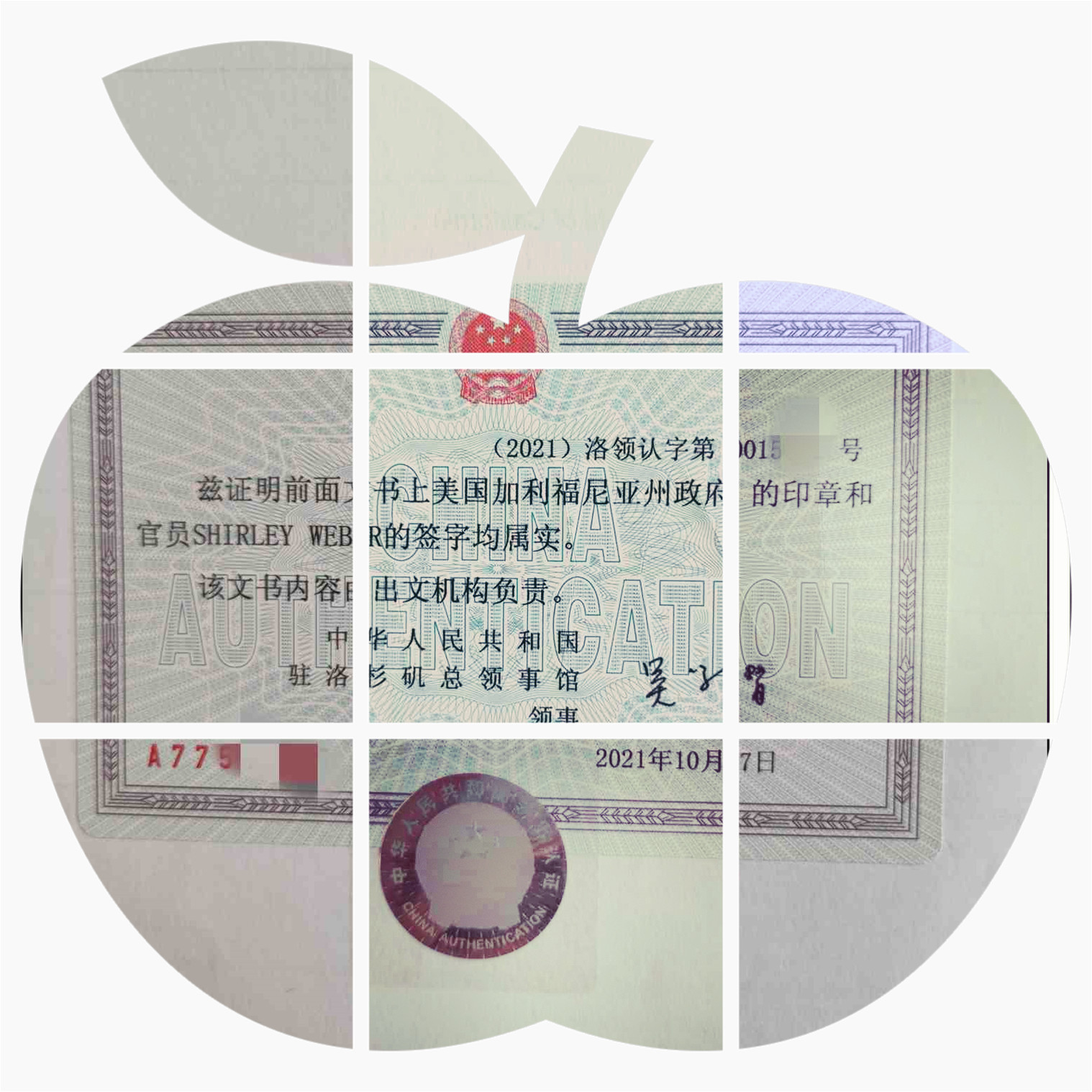 美国YouTube视频公证认证