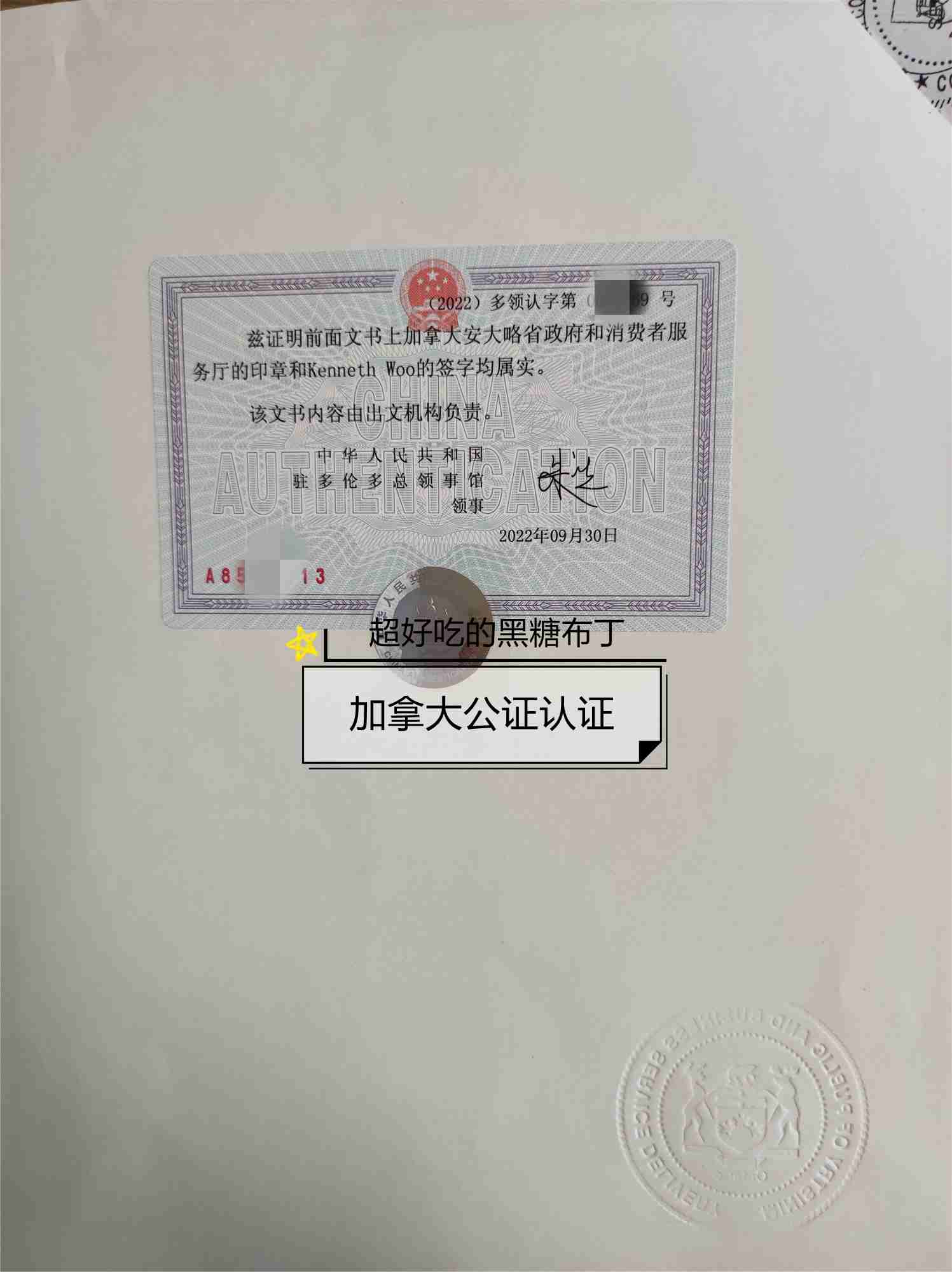 以外国人身份在上海成立外资公司，加拿大护照公证认证流程