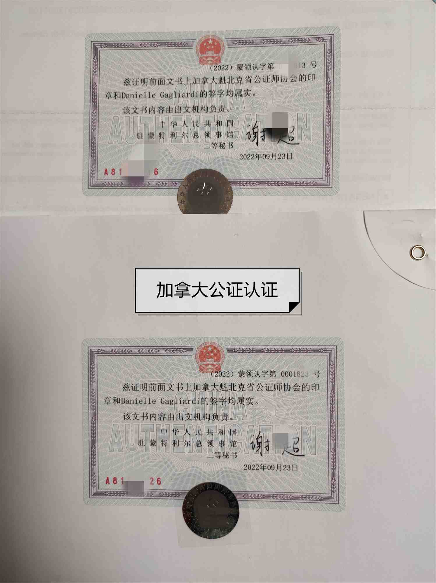ôо鹫֤֤