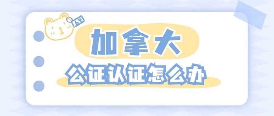 ô鹫֤֤