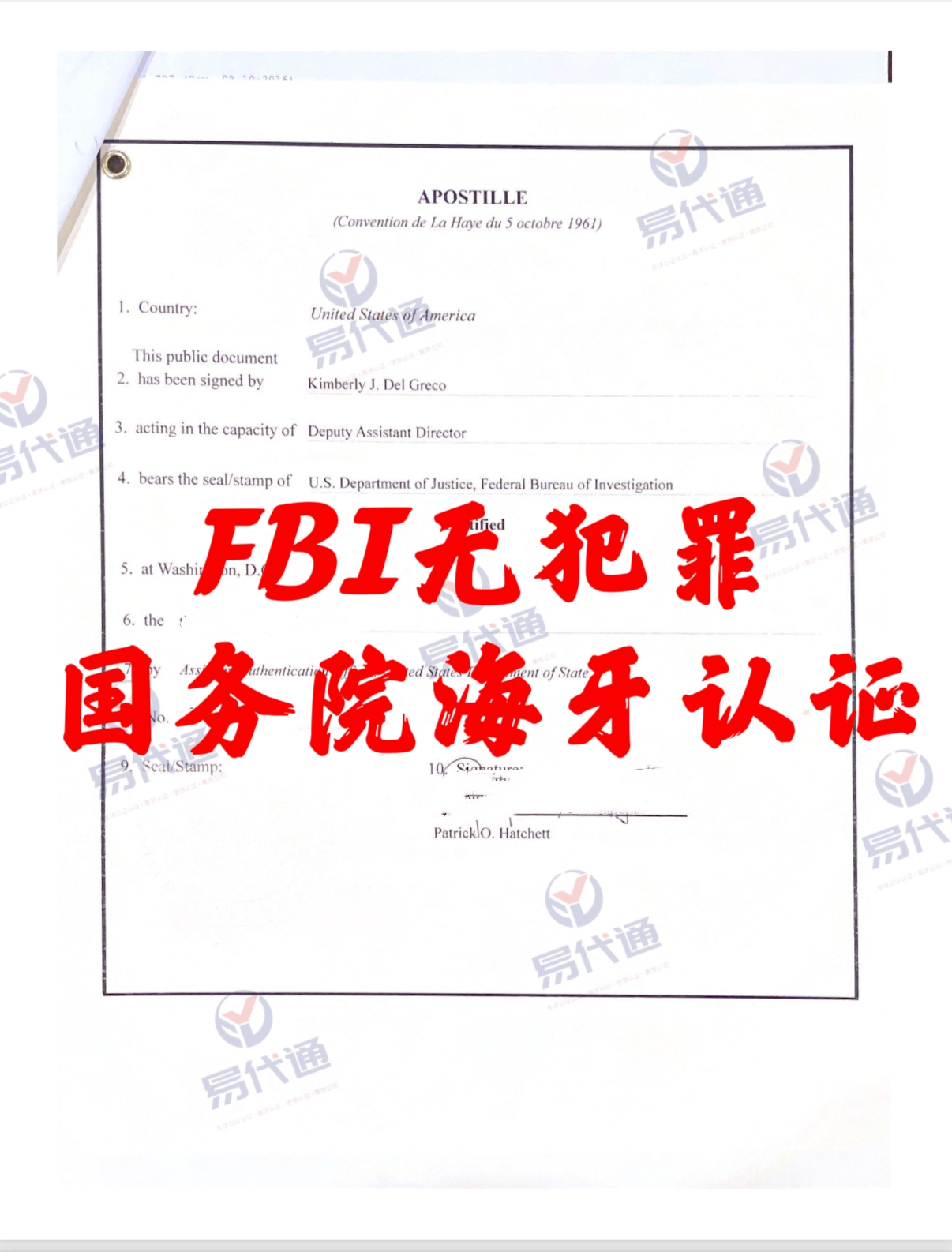 美国无犯罪记录国务院海牙认证
