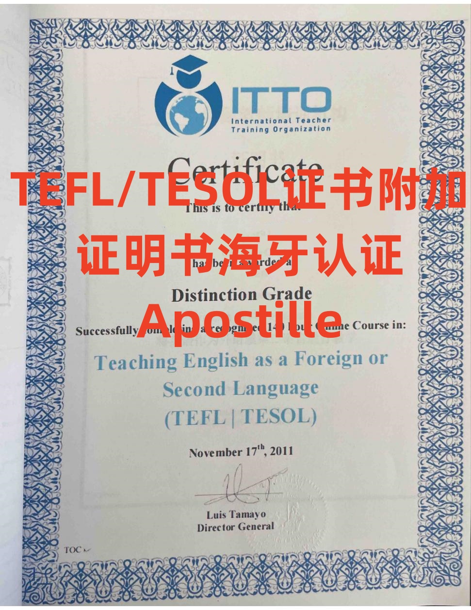 TEFL/TESOL֤鸽֤