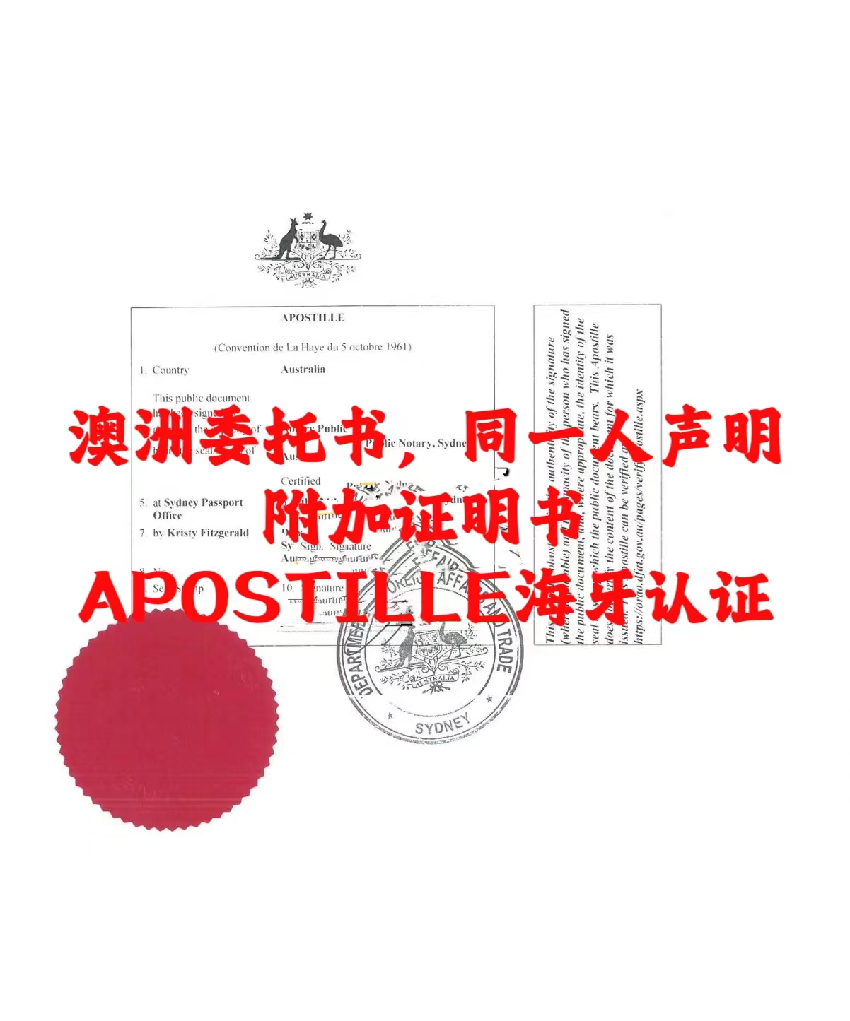 ί麣֤֪