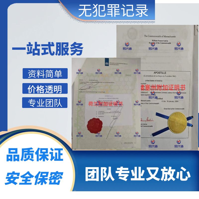 2024麣֤̽
