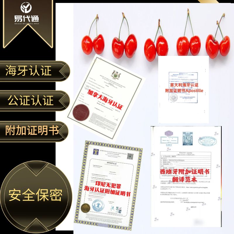 ȡFBI޷¼֤飨ApostilleıҪ֪ʶ