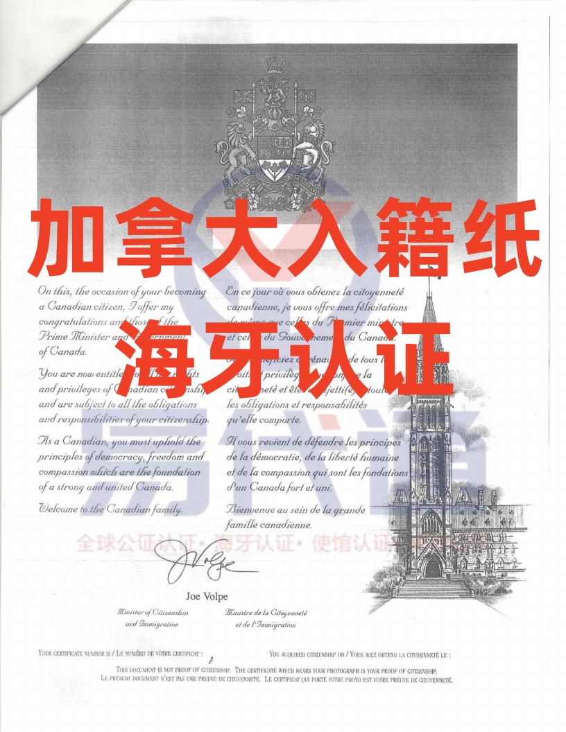 ô뼮ֽ֤